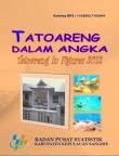 Tatoareng Dalam Angka 2012